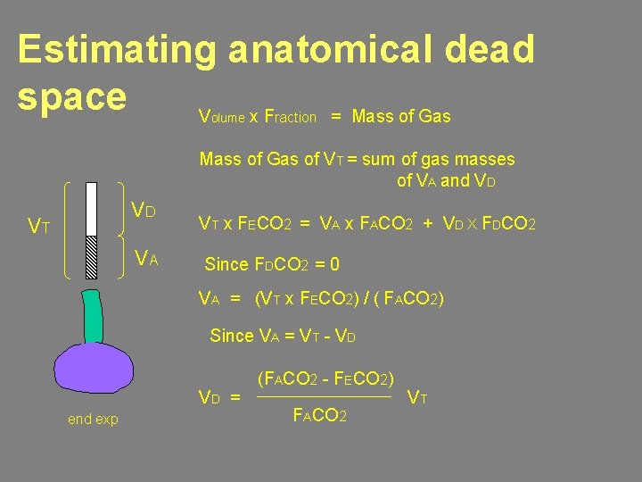 Estimating anatomical dead space V x. F = Mass of Gas olume raction Mass