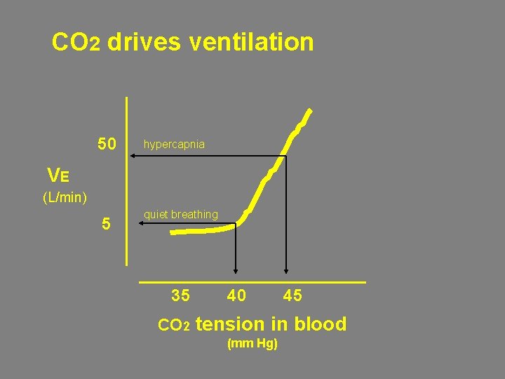 CO 2 drives ventilation 50 hypercapnia VE (L/min) 5 quiet breathing 35 40 45
