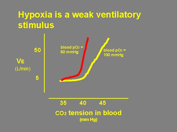 Hypoxia is a weak ventilatory stimulus 50 blood p. O 2 = 50 mm.