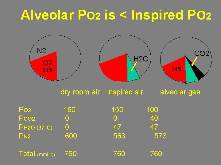 Alveolar PO 2 is < Inspired PO 2 N 2 CO 2 H 2