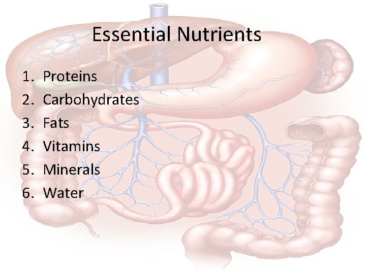 Essential Nutrients 1. 2. 3. 4. 5. 6. Proteins Carbohydrates Fats Vitamins Minerals Water