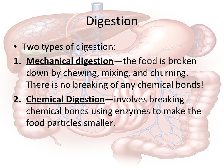 Digestion • Two types of digestion: 1. Mechanical digestion—the food is broken down by