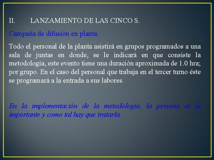 II. LANZAMIENTO DE LAS CINCO S. Campaña de difusión en planta. Todo el personal