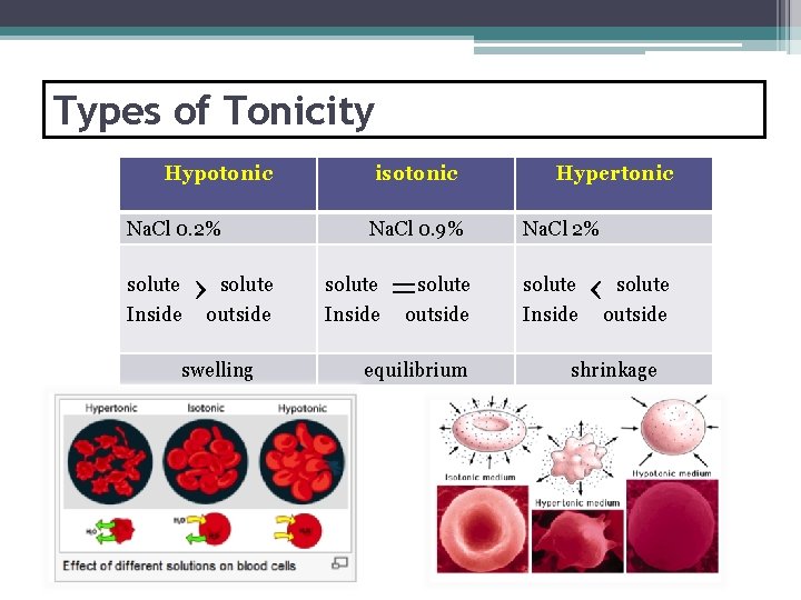 Types of Tonicity Hypotonic Na. Cl 0. 2% solute Inside solute ›outside swelling isotonic