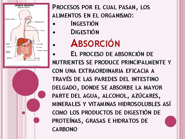 PROCESOS POR EL CUAL PASAN, LOS ALIMENTOS EN EL ORGANISMO: • INGESTIÓN • DIGESTIÓN