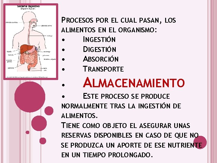 PROCESOS POR EL CUAL PASAN, LOS ALIMENTOS EN EL ORGANISMO: • INGESTIÓN • DIGESTIÓN