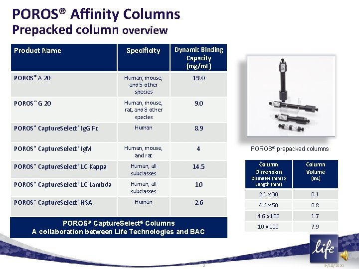 POROS® Affinity Columns Prepacked column overview Product Name Specificity Dynamic Binding Capacity (mg/m. L)