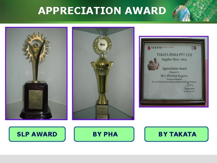 APPRECIATION AWARD SLP AWARD BY PHA BY TAKATA 
