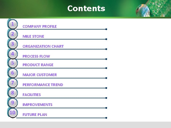 Contents 1 COMPANY PROFILE 2 MILE STONE 3 ORGANIZATION CHART 4 PROCESS FLOW 5