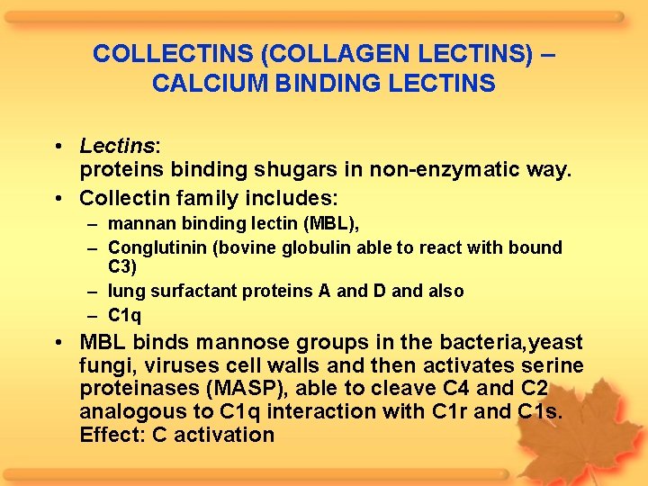 COLLECTINS (COLLAGEN LECTINS) – CALCIUM BINDING LECTINS • Lectins: proteins binding shugars in non-enzymatic