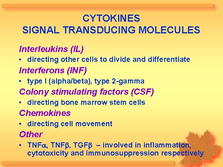 CYTOKINES SIGNAL TRANSDUCING MOLECULES Interleukins (IL) • directing other cells to divide and differentiate