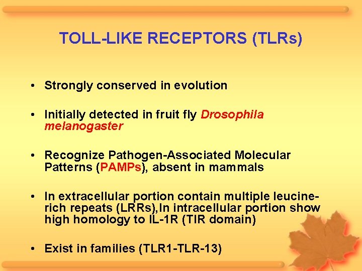 TOLL-LIKE RECEPTORS (TLRs) • Strongly conserved in evolution • Initially detected in fruit fly