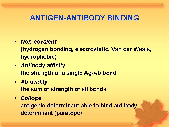 ANTIGEN-ANTIBODY BINDING • Non-covalent (hydrogen bonding, electrostatic, Van der Waals, hydrophobic) • Antibody affinity