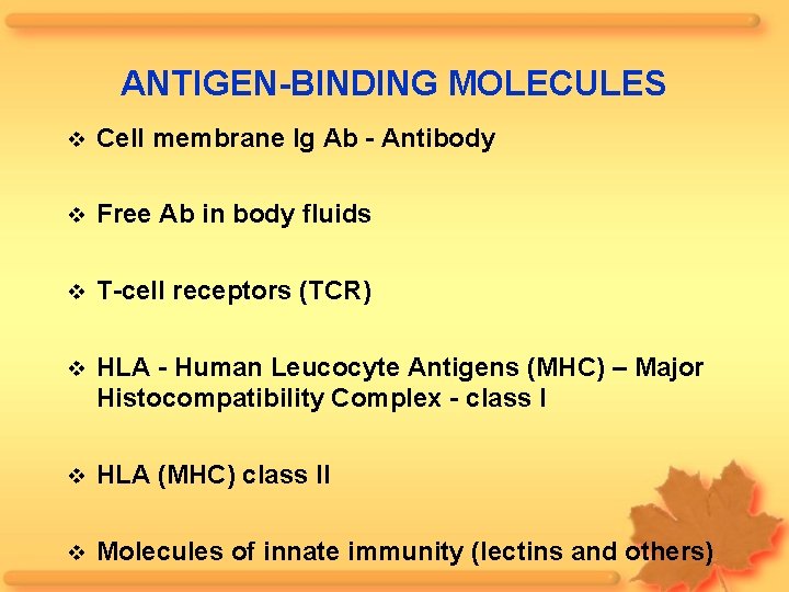ANTIGEN-BINDING MOLECULES Cell membrane Ig Ab - Antibody Free Ab in body fluids T-cell