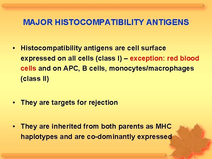 MAJOR HISTOCOMPATIBILITY ANTIGENS • Histocompatibility antigens are cell surface expressed on all cells (class