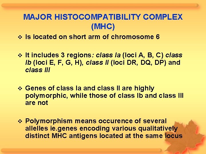 MAJOR HISTOCOMPATIBILITY COMPLEX (MHC) Is located on short arm of chromosome 6 It includes