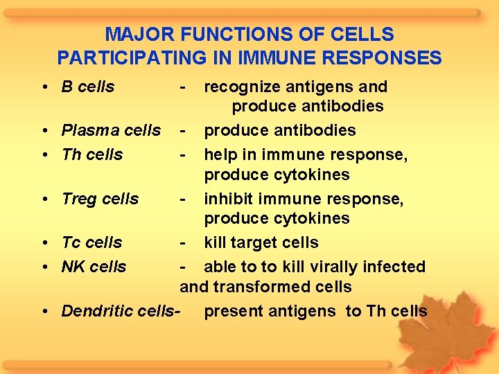 MAJOR FUNCTIONS OF CELLS PARTICIPATING IN IMMUNE RESPONSES • B cells • • •