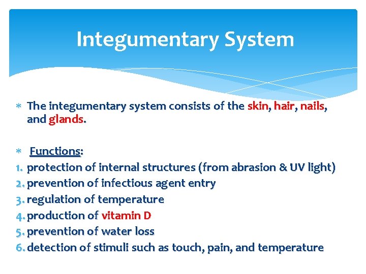 Integumentary System The integumentary system consists of the skin, hair, nails, and glands. Functions: