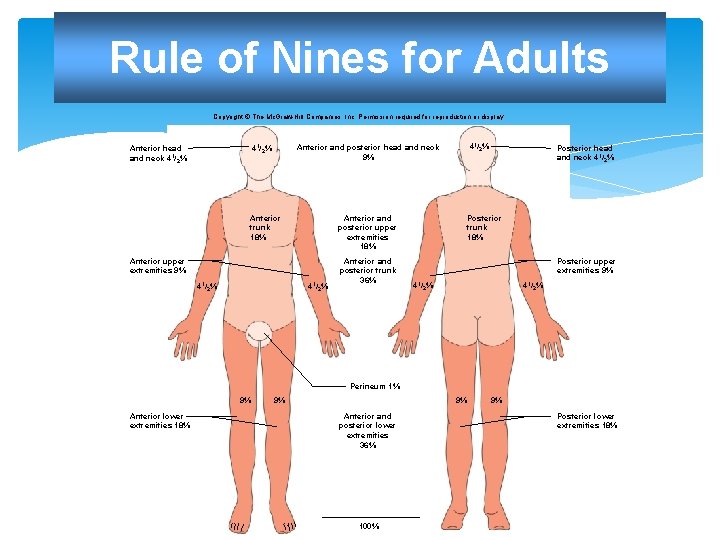 Rule of Nines for Adults Copyright © The Mc. Graw-Hill Companies, Inc. Permission required