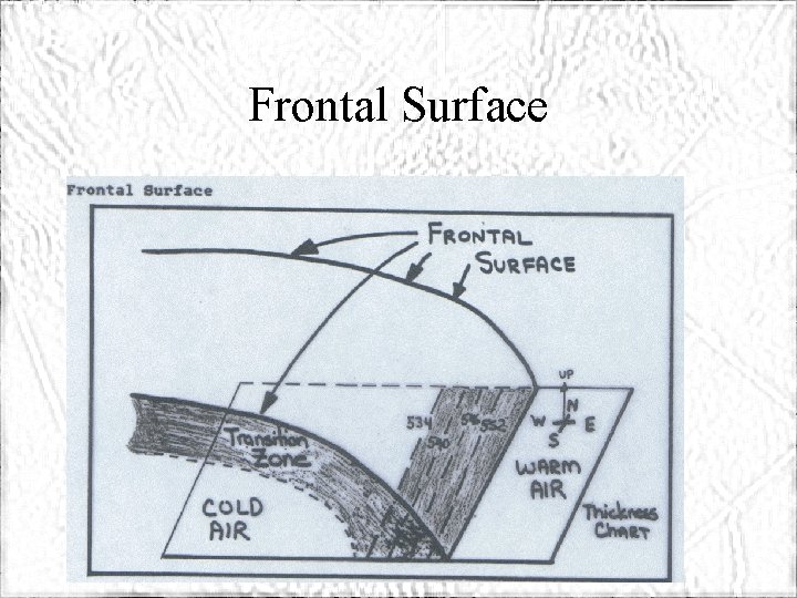 Frontal Surface 