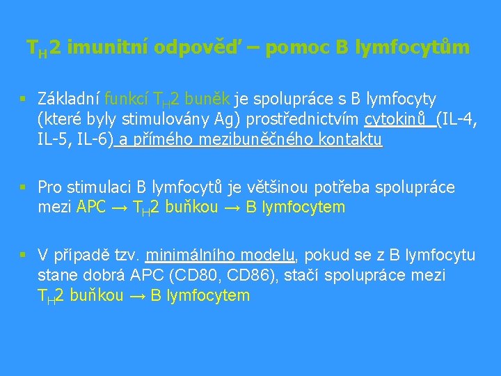 TH 2 imunitní odpověď – pomoc B lymfocytům § Základní funkcí TH 2 buněk