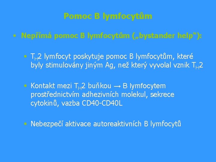 Pomoc B lymfocytům § Nepřímá pomoc B lymfocytům („bystander help“): § TH 2 lymfocyt