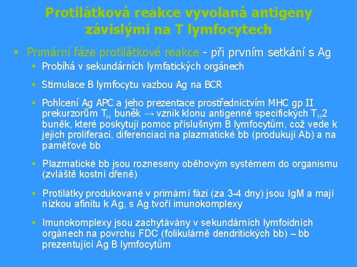 Protilátková reakce vyvolaná antigeny závislými na T lymfocytech § Primární fáze protilátkové reakce -