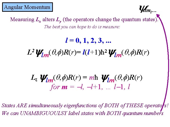 Angular Momentum nlml… Measuring Lx alters Ly (the operators change the quantum states). The