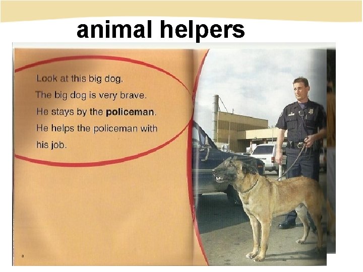 animal helpers 