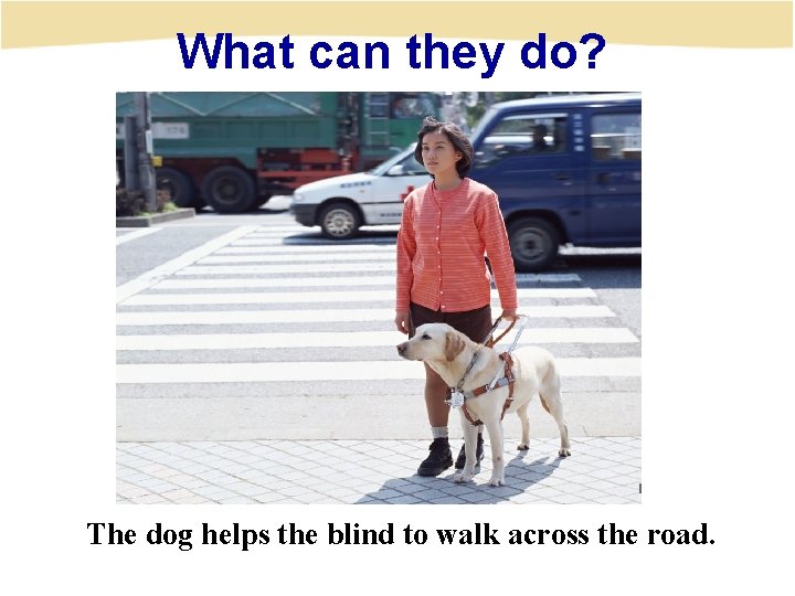 What can they do? The dog helps the blind to walk across the road.