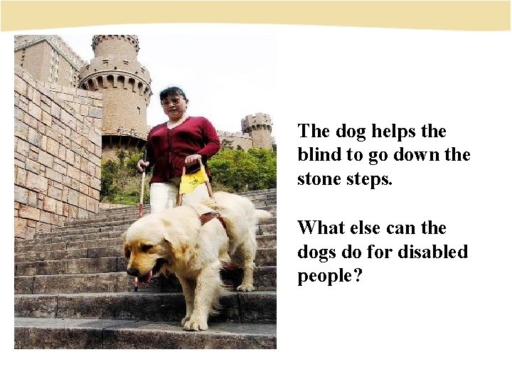 The dog helps the blind to go down the stone steps. What else can