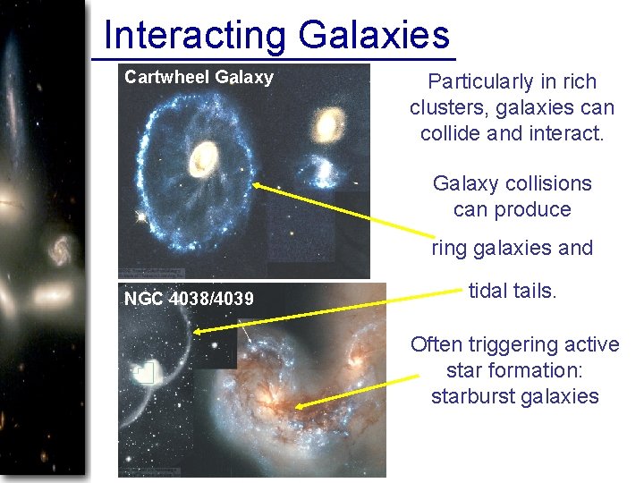 Interacting Galaxies Cartwheel Galaxy Particularly in rich clusters, galaxies can collide and interact. Galaxy