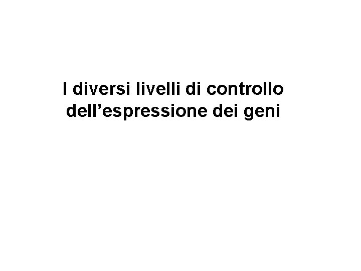 I diversi livelli di controllo dell’espressione dei geni I diversi livelli di controllo dell’espressione dei geni
