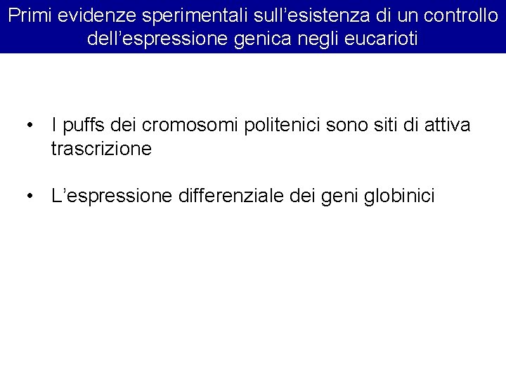 Primi evidenze sperimentali sull’esistenza di un controllo dell’espressione genica negli eucarioti • I puffs Primi evidenze sperimentali sull’esistenza di un controllo dell’espressione genica negli eucarioti • I puffs