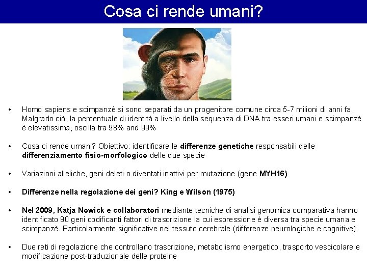 Cosa ci rende umani? • Homo sapiens e scimpanzè si sono separati da un Cosa ci rende umani? • Homo sapiens e scimpanzè si sono separati da un