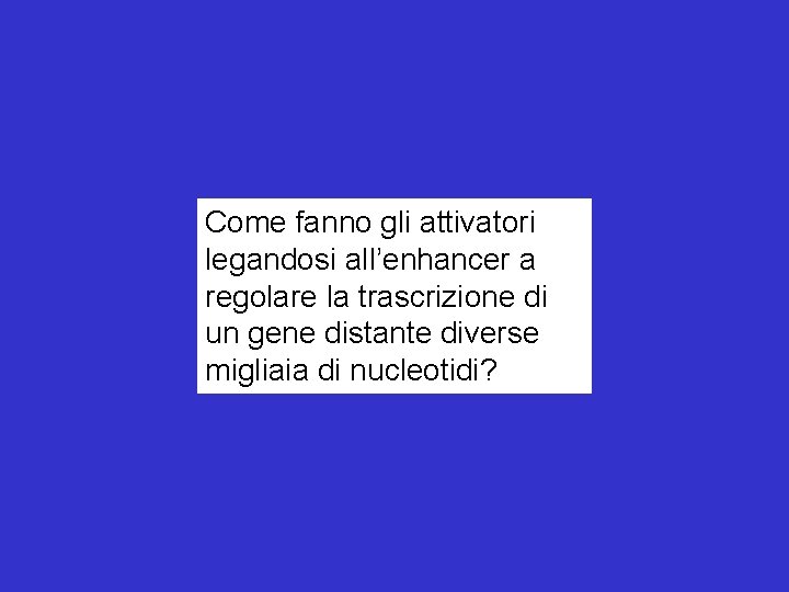 Come fanno gli attivatori legandosi all’enhancer a regolare la trascrizione di un gene distante Come fanno gli attivatori legandosi all’enhancer a regolare la trascrizione di un gene distante