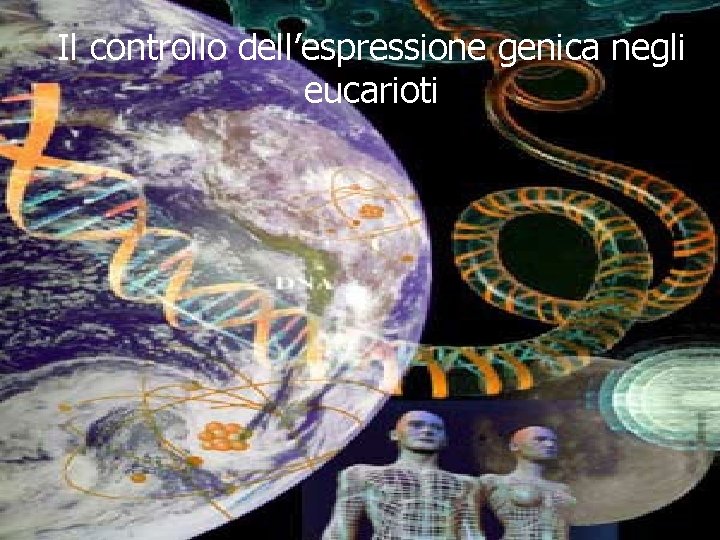 Il controllo dell’espressione genica negli eucarioti Il controllo dell’espressione genica negli eucarioti