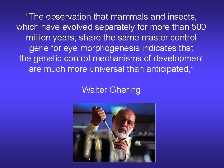 "The observation that mammals and insects, which have evolved separately for more than 500 "The observation that mammals and insects, which have evolved separately for more than 500