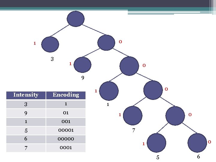 0 1 3 1 0 9 Intensity Encoding 3 1 9 01 1 001