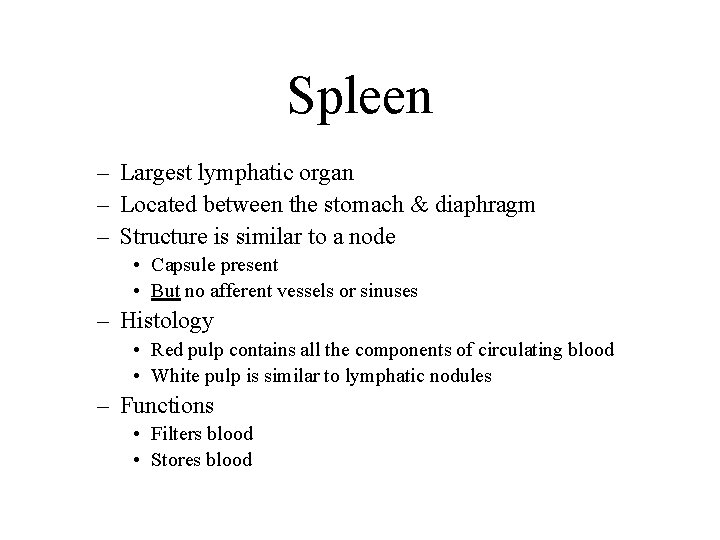 Spleen – Largest lymphatic organ – Located between the stomach & diaphragm – Structure