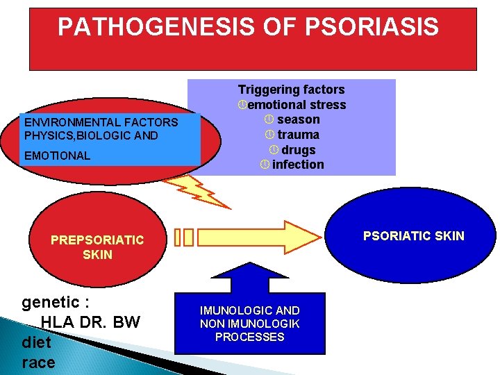 patofisiologi psoriasis