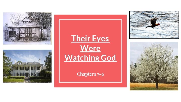 Their Eyes Were Watching God Chapters 7 -9 