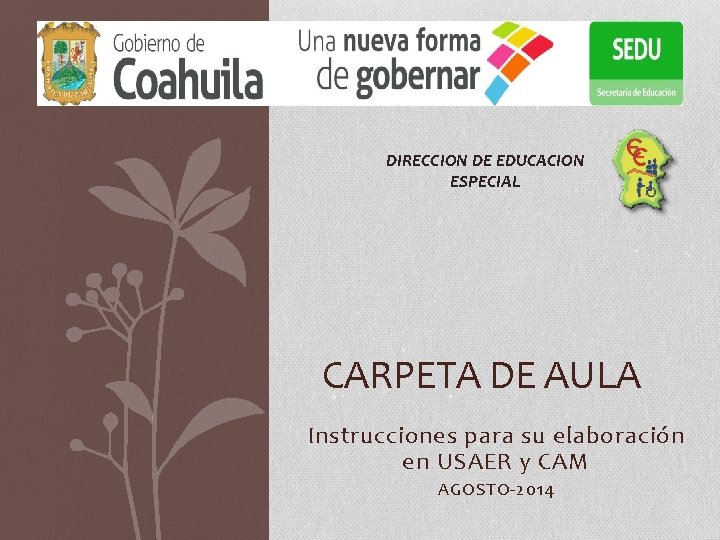 DIRECCION DE EDUCACION ESPECIAL CARPETA DE AULA Instrucciones para su elaboración en USAER y