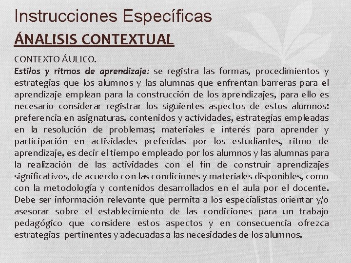 Instrucciones Específicas ÁNALISIS CONTEXTUAL CONTEXTO ÁULICO. Estilos y ritmos de aprendizaje: se registra las