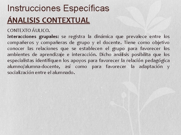 Instrucciones Específicas ÁNALISIS CONTEXTUAL CONTEXTO ÁULICO. Interacciones grupales: se registra la dinámica que prevalece