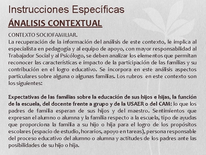 Instrucciones Específicas ÁNALISIS CONTEXTUAL CONTEXTO SOCIOFAMILIAR. La recuperación de la información del análisis de