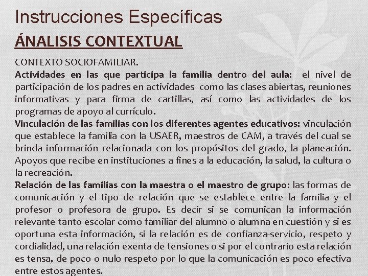 Instrucciones Específicas ÁNALISIS CONTEXTUAL CONTEXTO SOCIOFAMILIAR. Actividades en las que participa la familia dentro