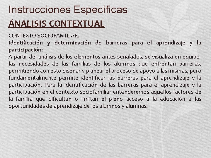 Instrucciones Específicas ÁNALISIS CONTEXTUAL CONTEXTO SOCIOFAMILIAR. Identificación y determinación de barreras para el aprendizaje