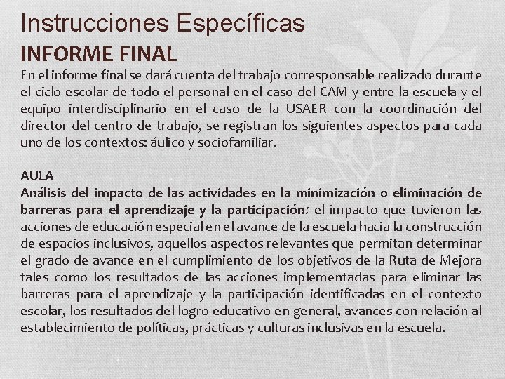 Instrucciones Específicas INFORME FINAL En el informe final se dará cuenta del trabajo corresponsable