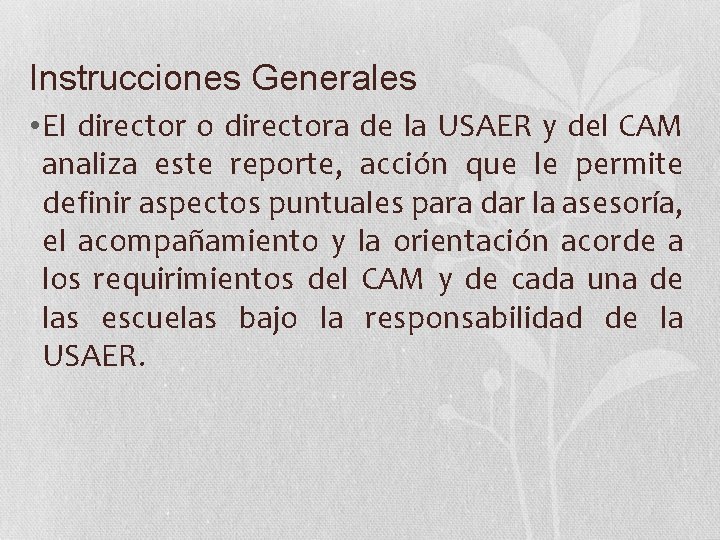 Instrucciones Generales • El director o directora de la USAER y del CAM analiza